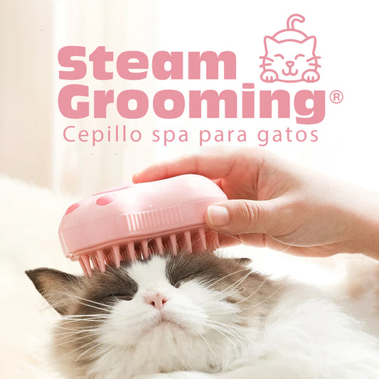 Steam Grooming® - Oferta lanzamiento